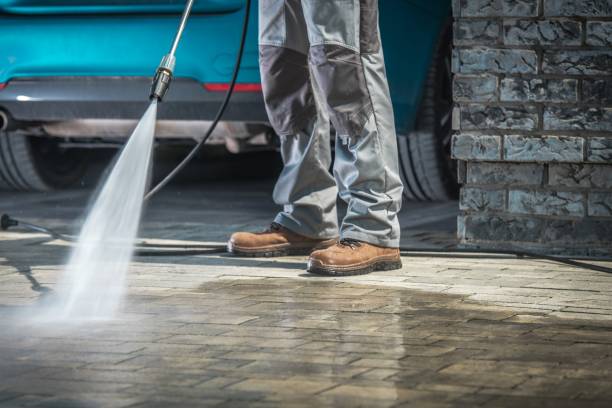 Best Warehouse Cleaning  in Hemphill, TX