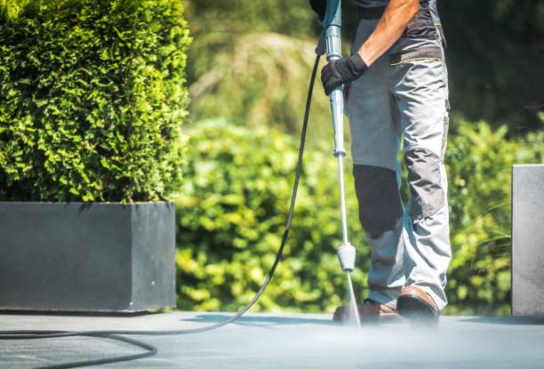 Best Solar Panel Cleaning  in Hemphill, TX